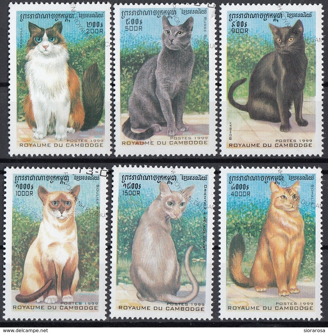 Cambogia 1999 Sc. 1818-1823 GATTI Chats CATS Gatos Serie Completa Nuovo CTO Cambodia Cambodge - Cambogia