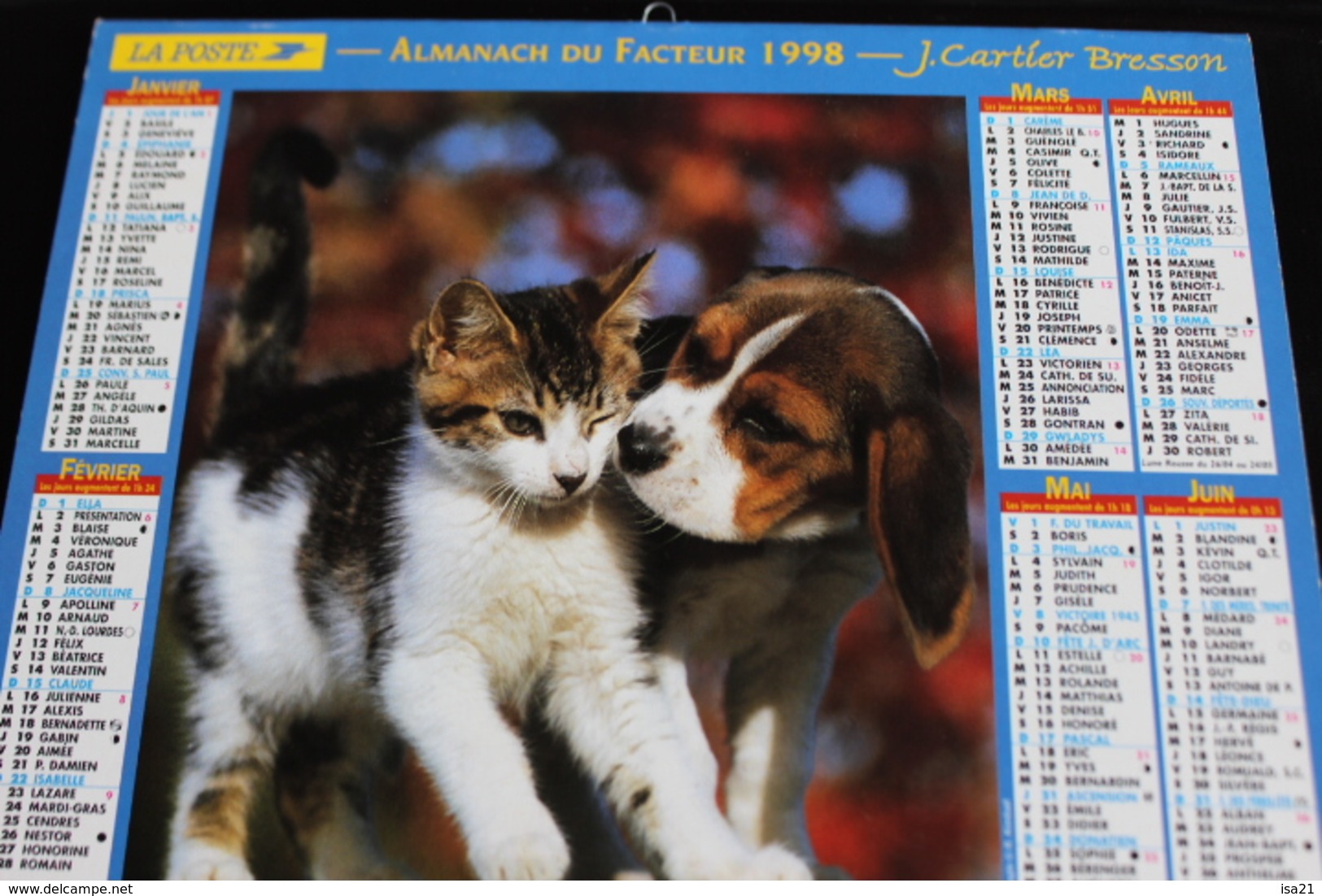 Calendrier Des Postes PTT 1998, Chaton Et Beagle, Cavalier King Charles,  2 Photos Sur Carton Souple - Grand Format : 1991-00