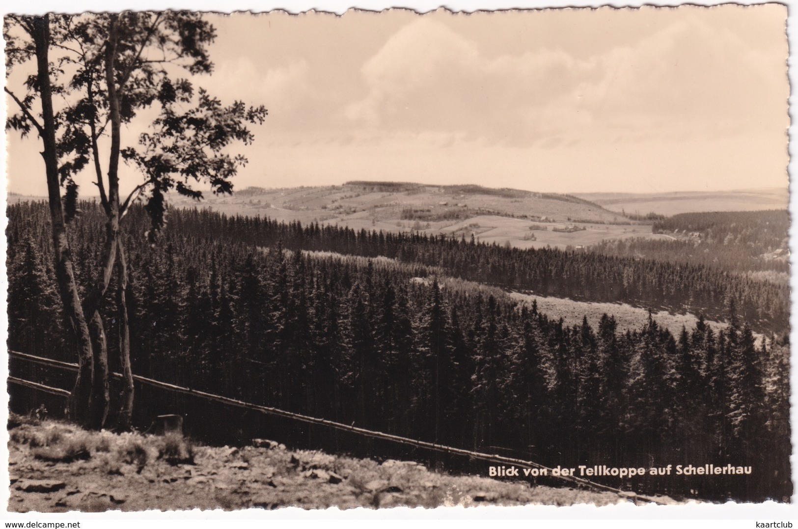 Blick Von Der Tellkoppe Auf Schellerhau - Schellerhau