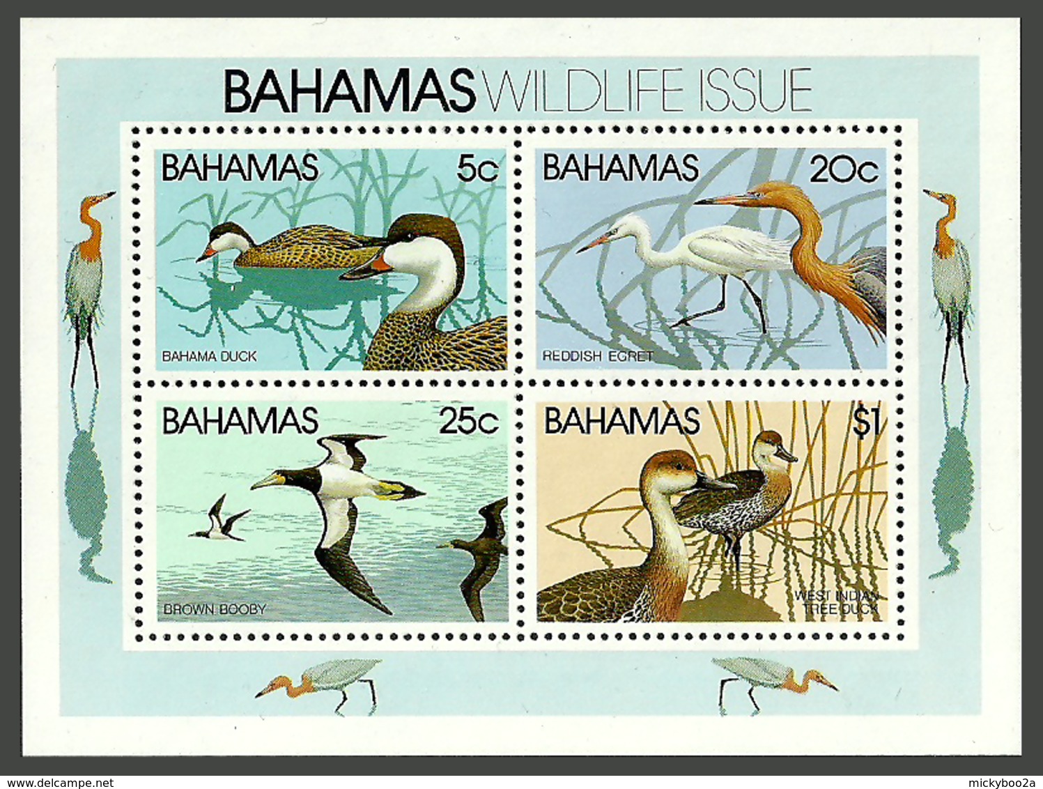 BAHAMAS 1981 BIRDS WILDLIFE EGRET DUCKS BOOBY M/SHEET MNH - Bahamas (1973-...)