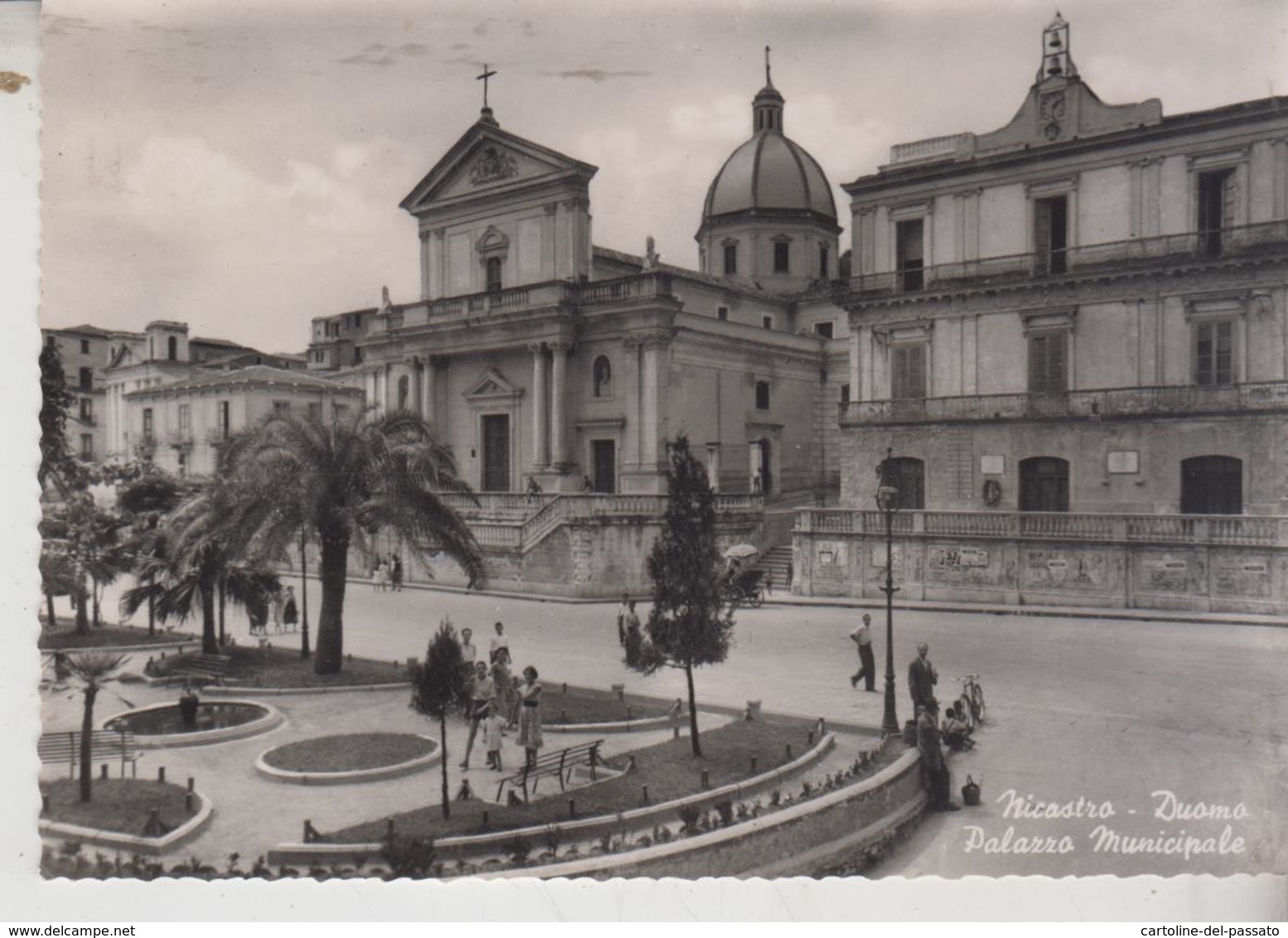 NICASTRO CATANZARO DUOMO PALAZZO MUNICIPALE 1955 - Catanzaro