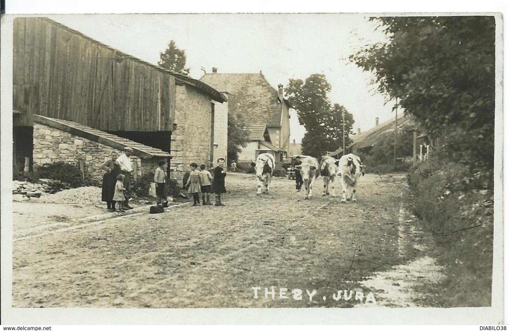 THÉSY  ( JURA )    RETOUR A L 'ÉTABLE  ... Carte Photo - Autres & Non Classés