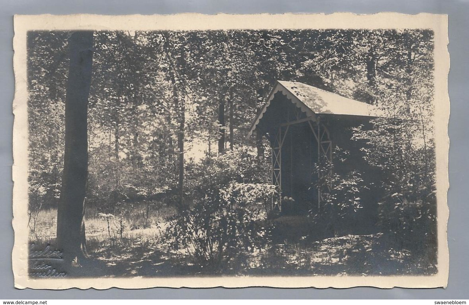 BE.- Photo Van F. Hoelen, Capellen. 1926. Kapelletje In Bos. - Te Identificeren