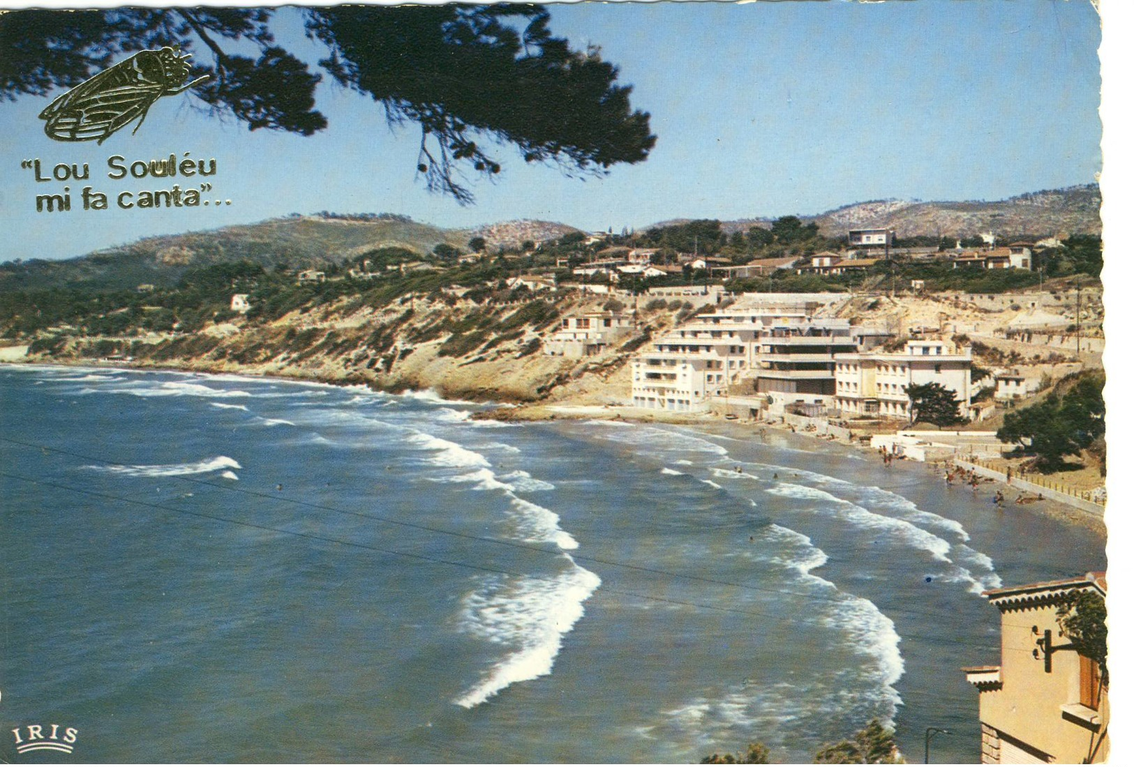 CPM Sanary   La Plage De La Gorguette - Sanary-sur-Mer