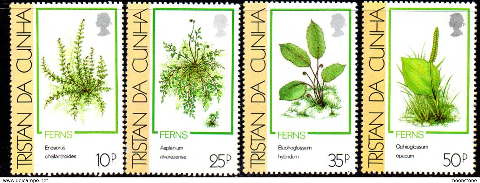 Tristan Da Cunha 1989 Ferns Set Of 4, MNH, SG 478/81 - Tristan Da Cunha