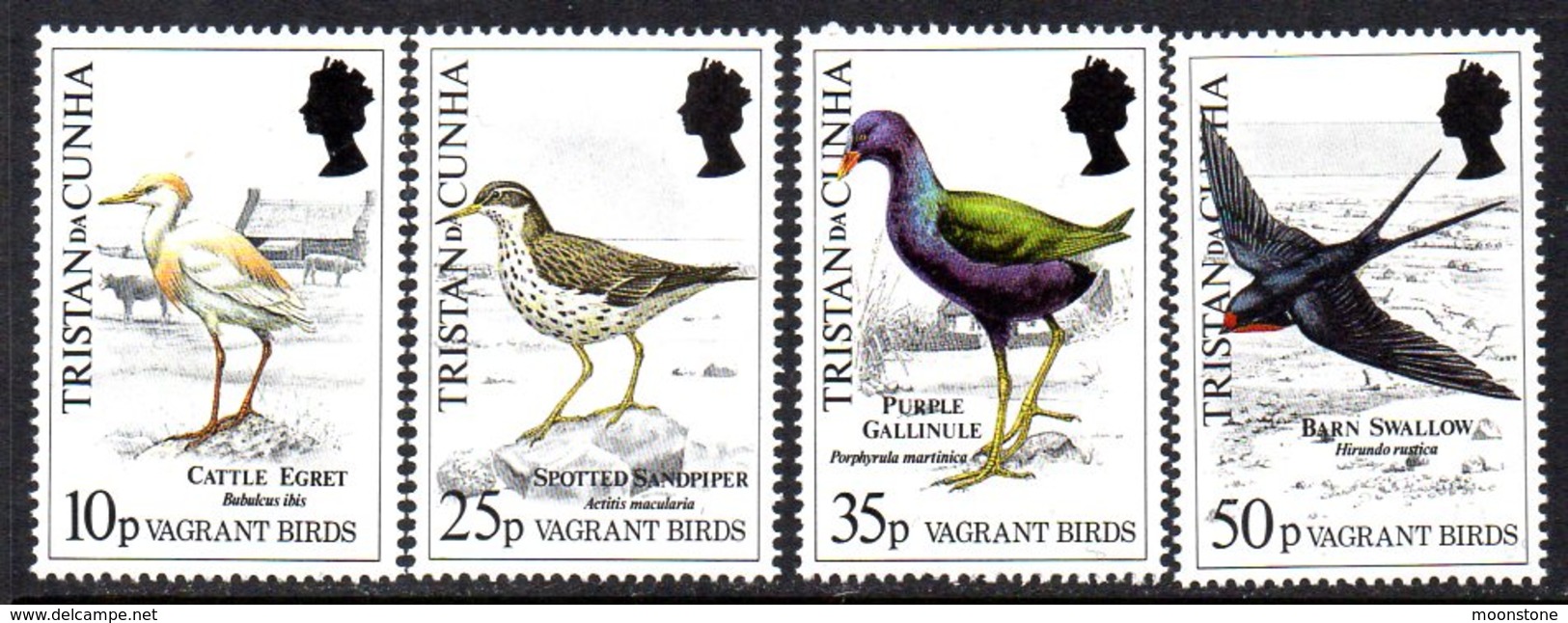 Tristan Da Cunha 1989 Vagrant Birds Set Of 4, MNH, SG 486/9 - Tristan Da Cunha