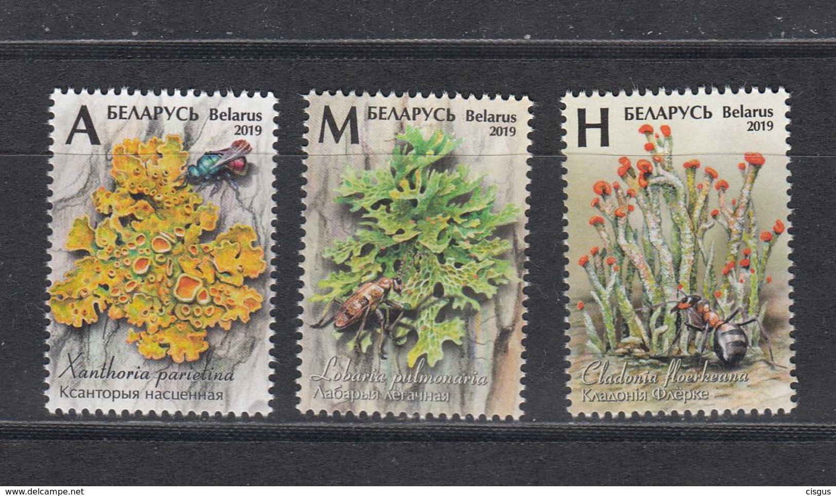 Belarus Weissrussland MNH** 2019 Lichens  Mi 1303-05 - Belarus