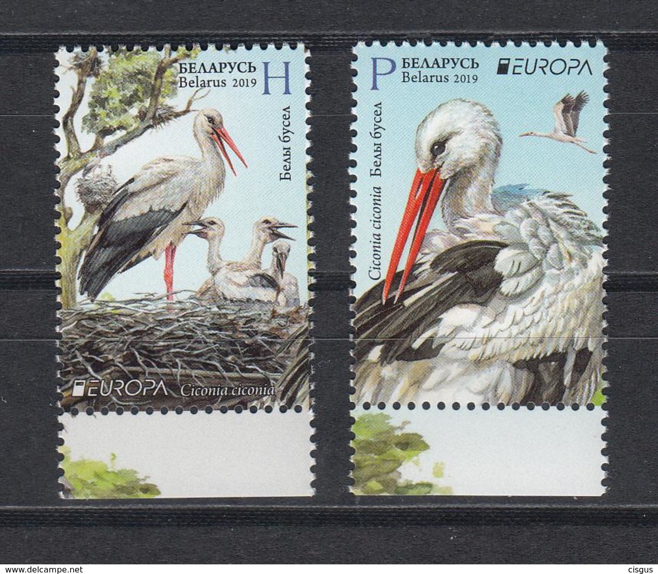 Belarus Weissrussland MNH** 2019 Europe Stamps Birds   Mi 1300-01 - Belarus