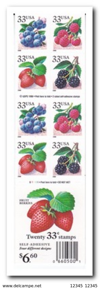 Amerika 2000, Postfris MNH, Fruit ( Booklet, Carnet ) - 1981-...