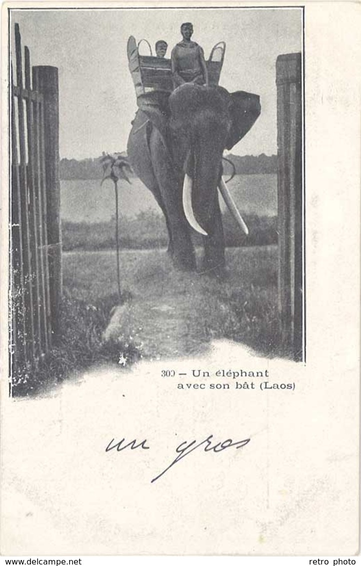 Cpa Asie, Laos – 309 Un éléphant Avec Son Bât - Laos