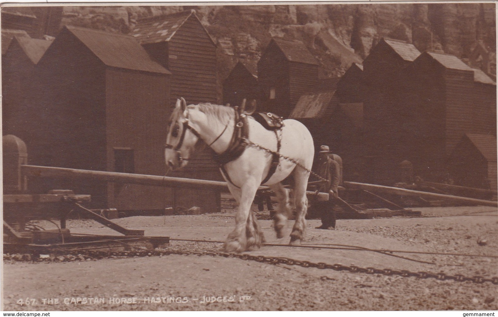 HASTINGS --THE CAPSTAN HORSE. JUDGES - Hastings