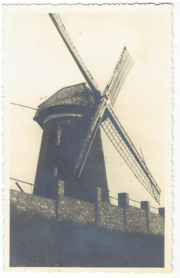 DOEL - Beveren-Waas - Fotokaart Van De Molen - Beveren-Waas