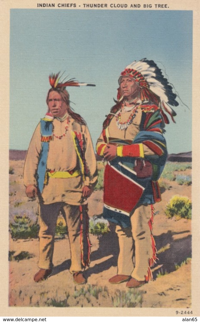 Crow Chiefs Thunder Cloud And Big Tree Native American Indian Men, C1930s/40s Vintage Postcard - Native Americans