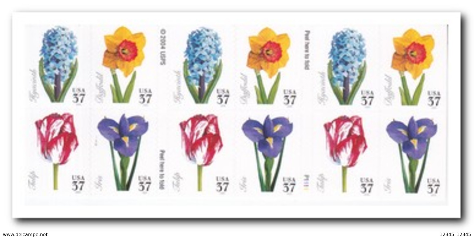 Amerika 2005, Postfris MNH, Flowers ( Booklet, Carnet ) - 1981-...