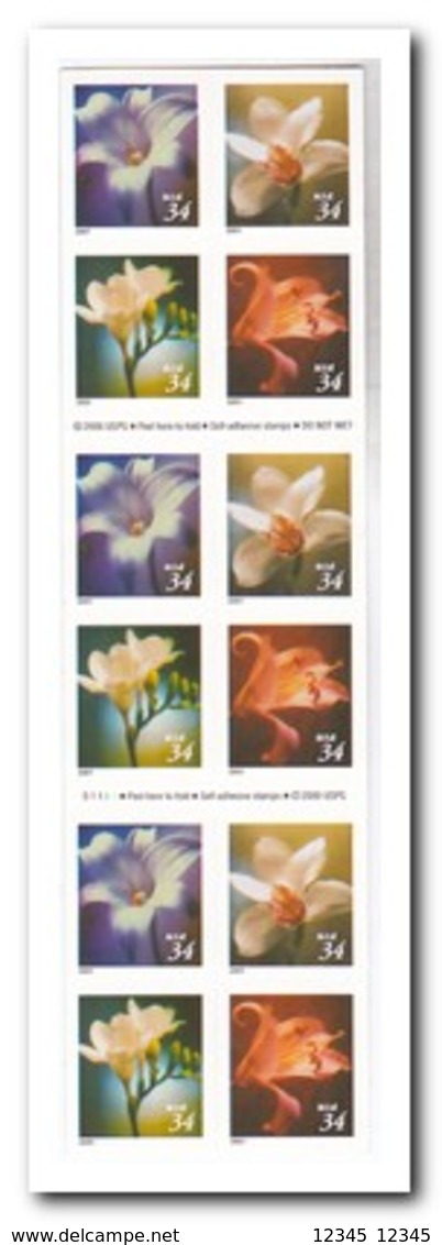 Amerika 2001, Postfris MNH, Flowers ( Booklet, Carnet ) - 1981-...