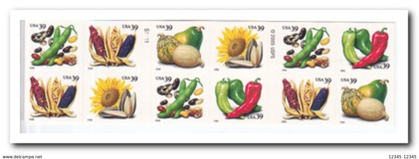 Amerika 2006, Postfris MNH, Vegetables ( Booklet, Carnet ) - 1981-...