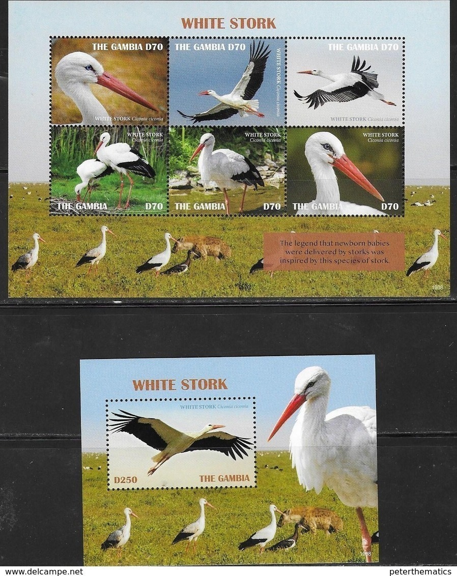 GAMBIA, 2019, MNH, BIRDS, STORKS, WHITE STORKS, SHEETLET+S/SHEET, HIGH FV - Storks & Long-legged Wading Birds