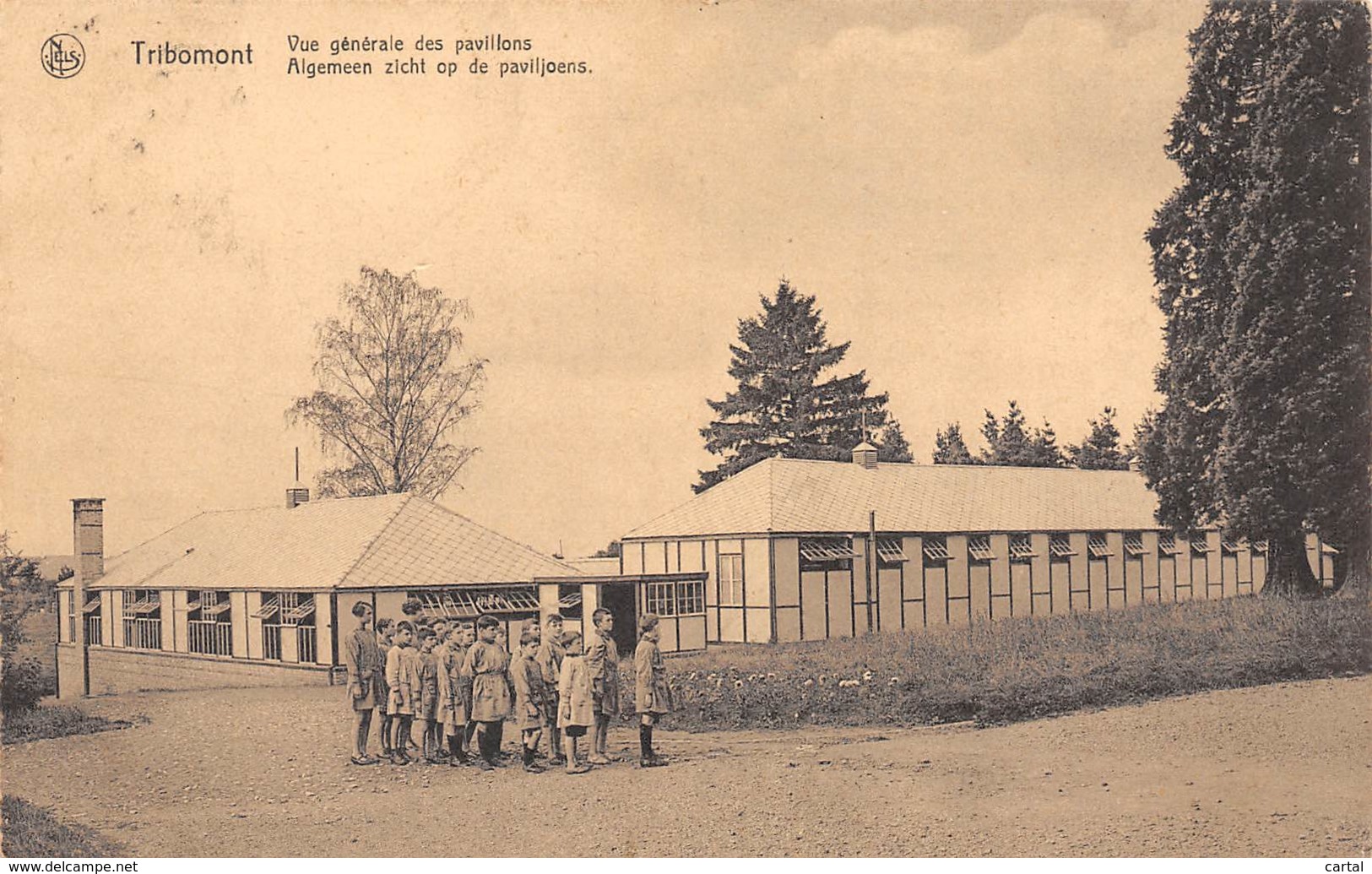 TRIBOMONT - Vue Générale Des Pavillons. - Herve