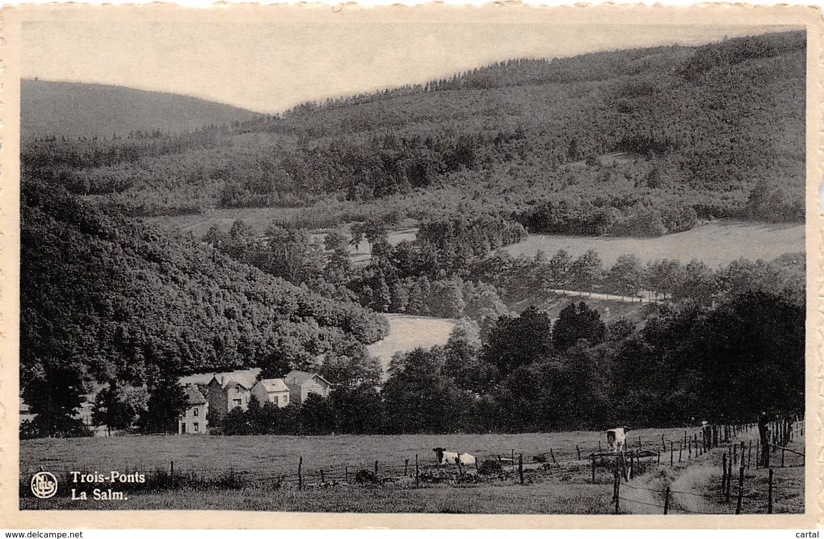 TROIS-PONTS - La Salm - Trois-Ponts