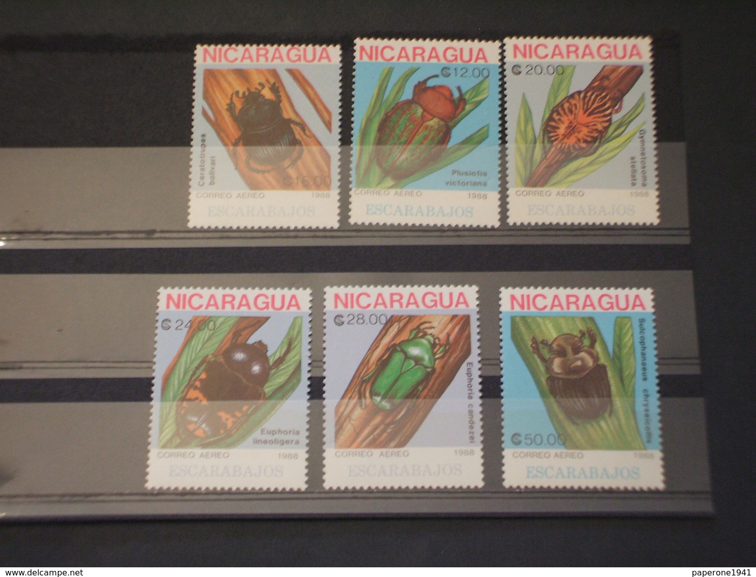 NICARAGUA - P.A. 1988 INSETTI 6 VALORI - NUOVI(++) - Nicaragua