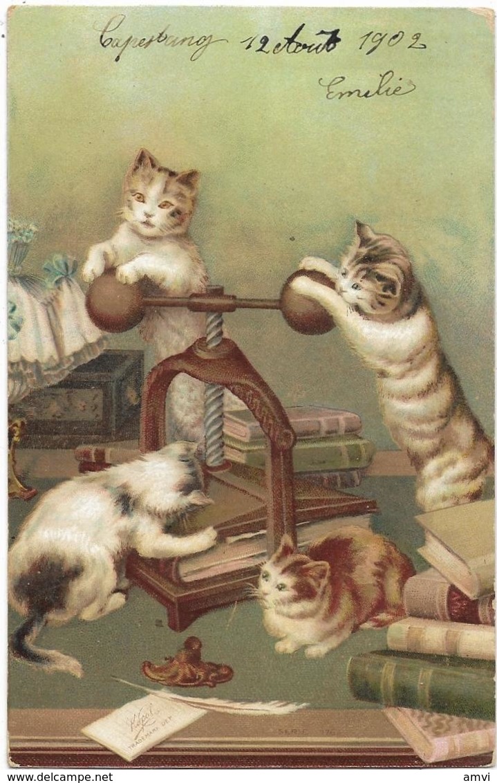 4085 - Theme Du Chat Lot De 6 Cpa Sur Les Chats - Piano, Vélo, Malade, Enfant , Presse - Toutes Vers 1902 - Cats