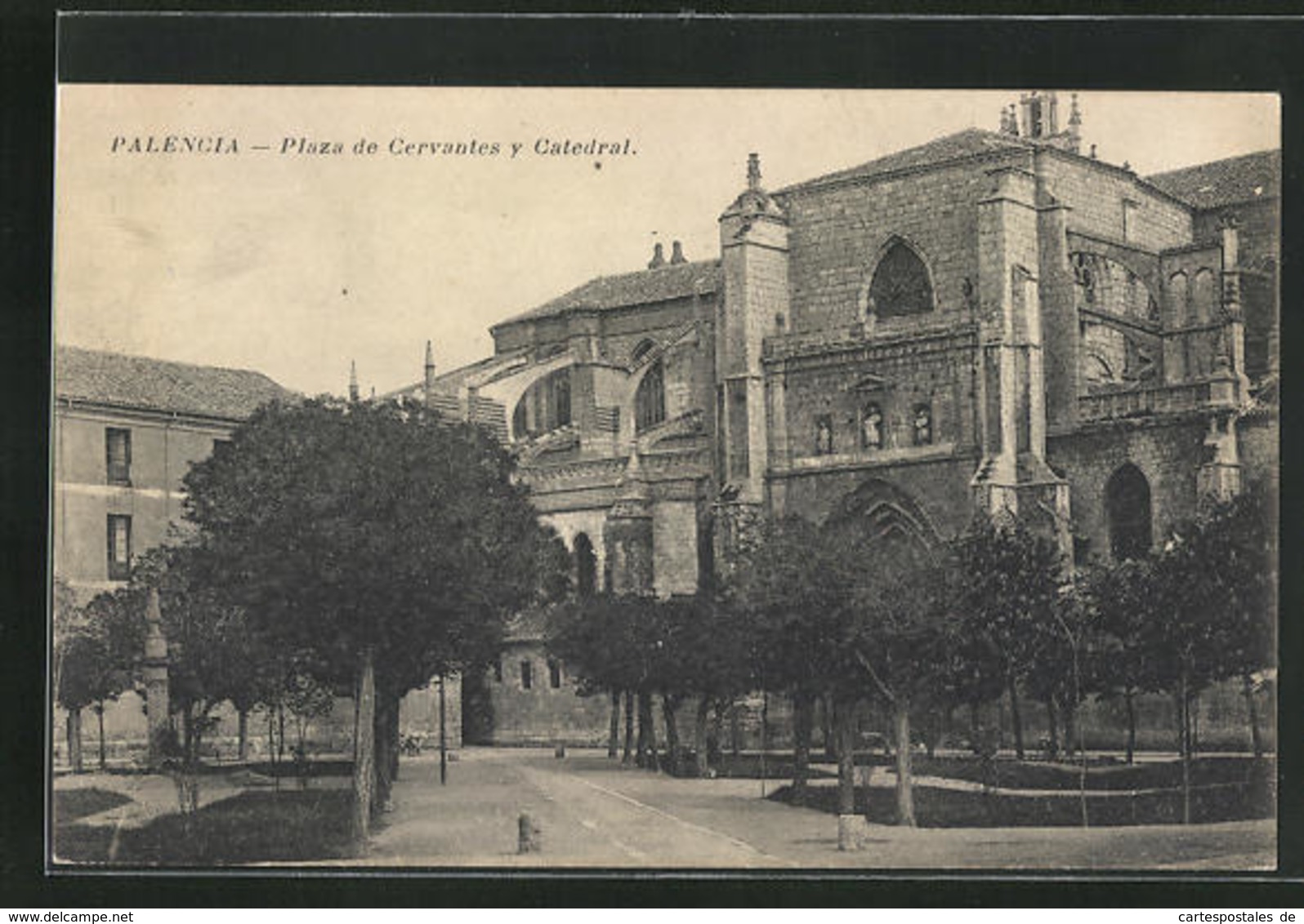 Postal Palencia, Plaza De Cervantes Y Catedral - Palencia