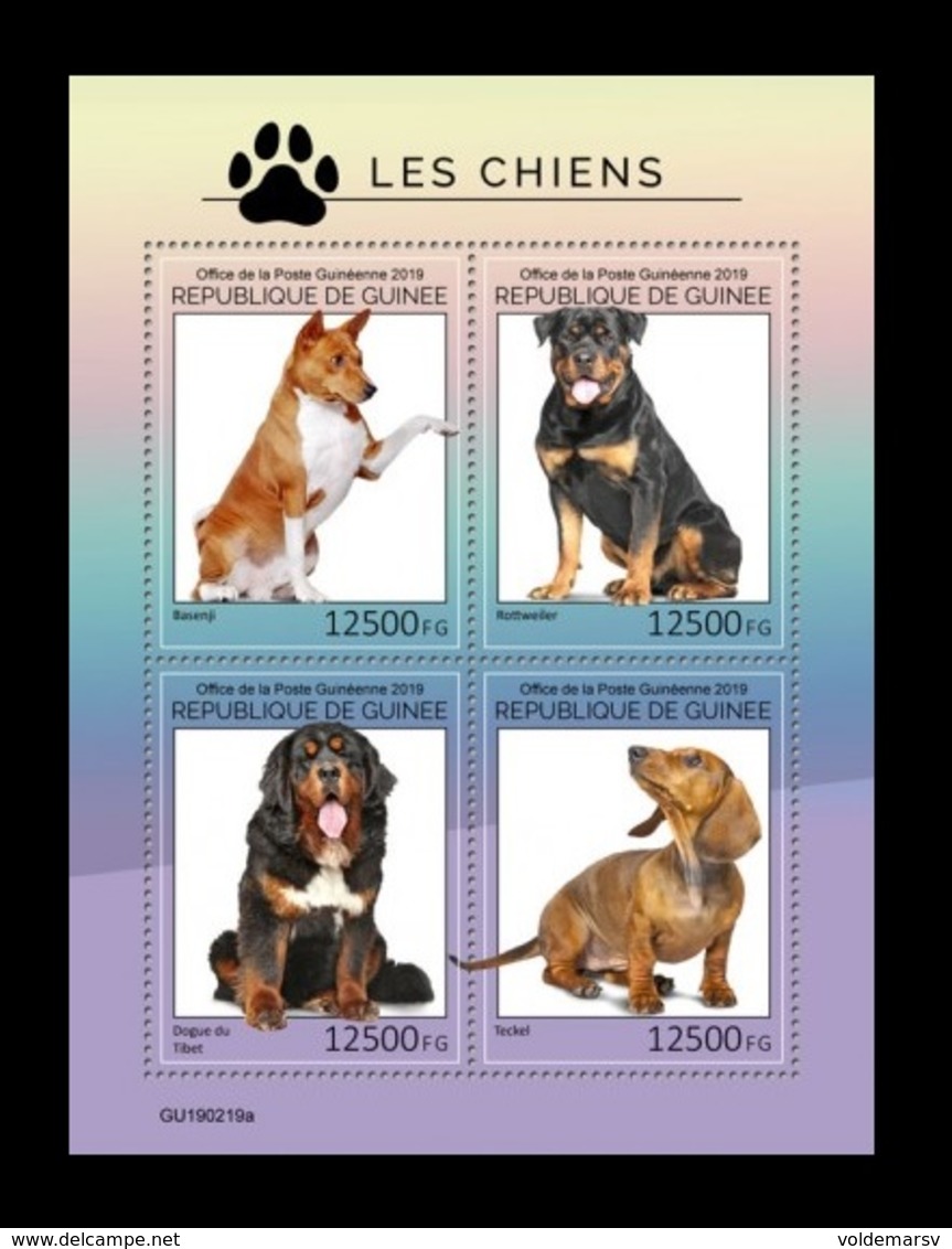 Guinea 2019 Mih. 13679/82 Fauna. Dogs MNH ** - Guinea (1958-...)