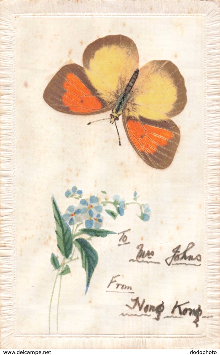R205440 Nawa Entomological Factory. Gifu Japan. Pat. No. 22916. Greeting Card. Postcard - Mondo
