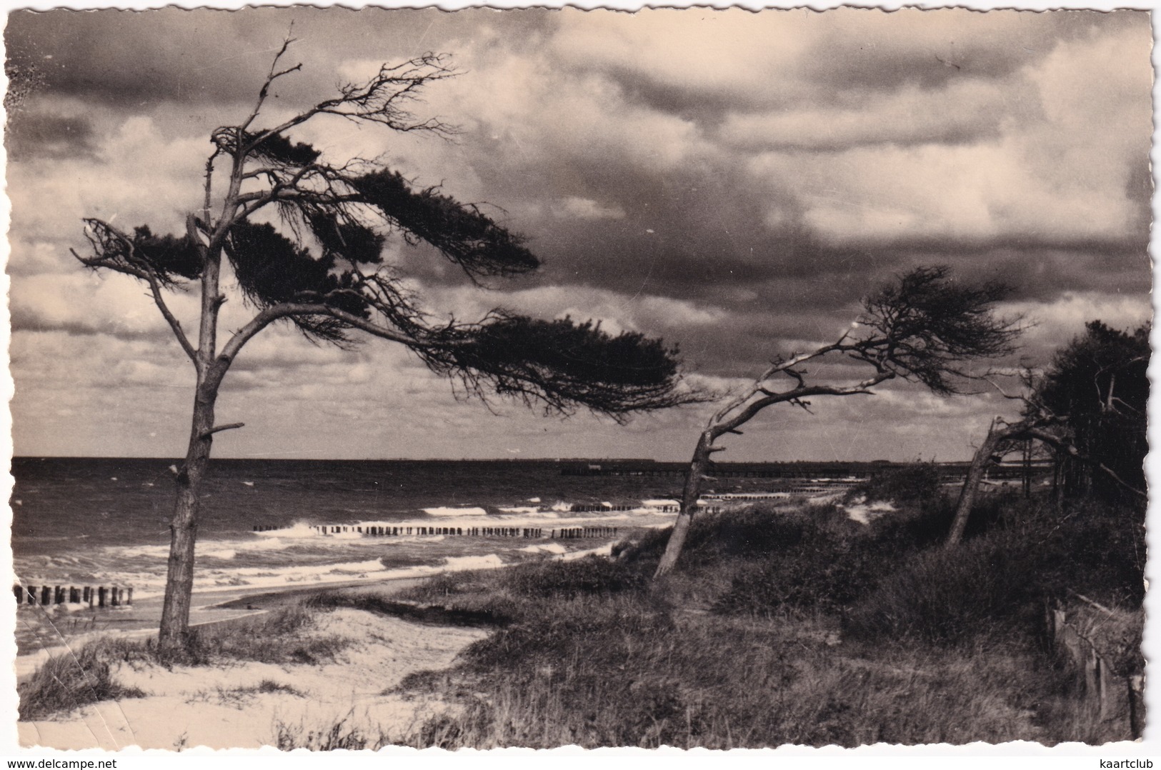 Ostseebad Graal-Müritz - Graal-Müritz