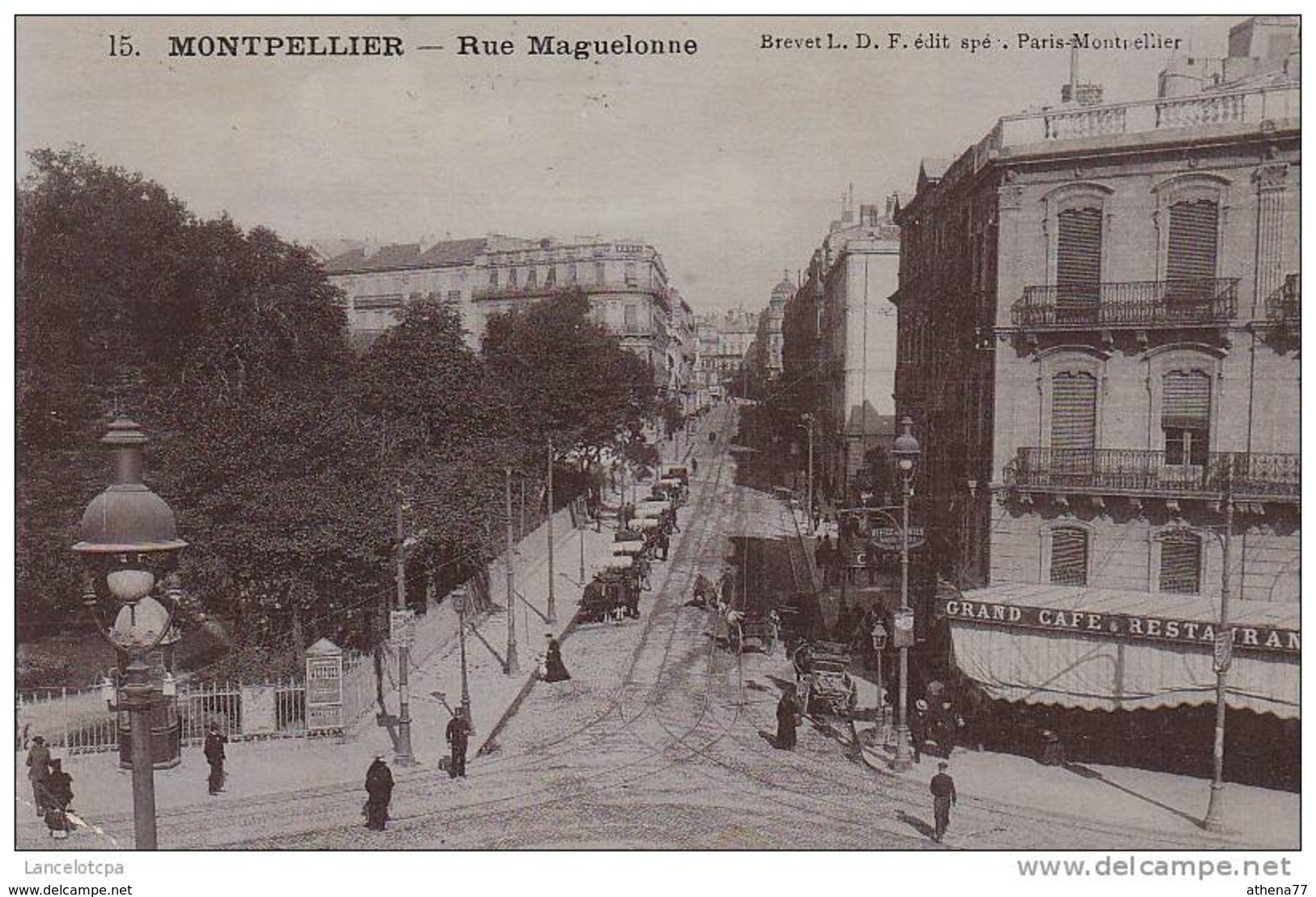 34 - MONTPELLIER / RUE MAGUELONE (CARTE GLACEE) - Montpellier