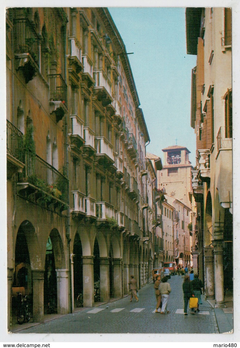 TREVISO    VIA  CALMAGGIORE            (NUOVA) - Treviso