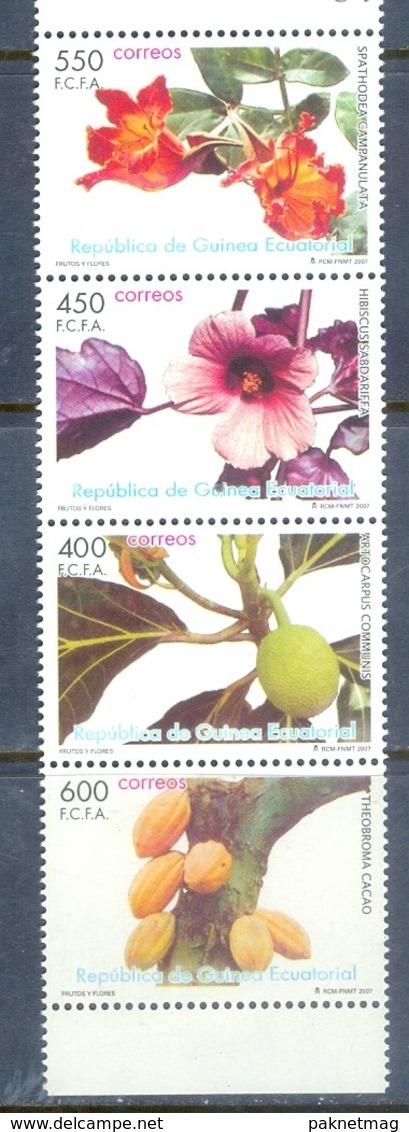 B26- Equatorial Guinea - Guinea Ecuatorial - Guinée Équatoriale 2007. Flowers & Fruits. - Other & Unclassified