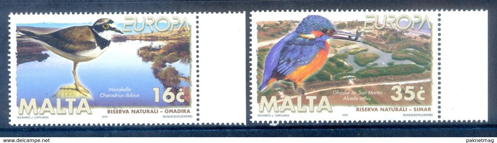 B37- Malta 1999. EUROPA. National Parks  Eisvogel Flussregenpfeifer. Naturschutzgebiet Simar. - Malta