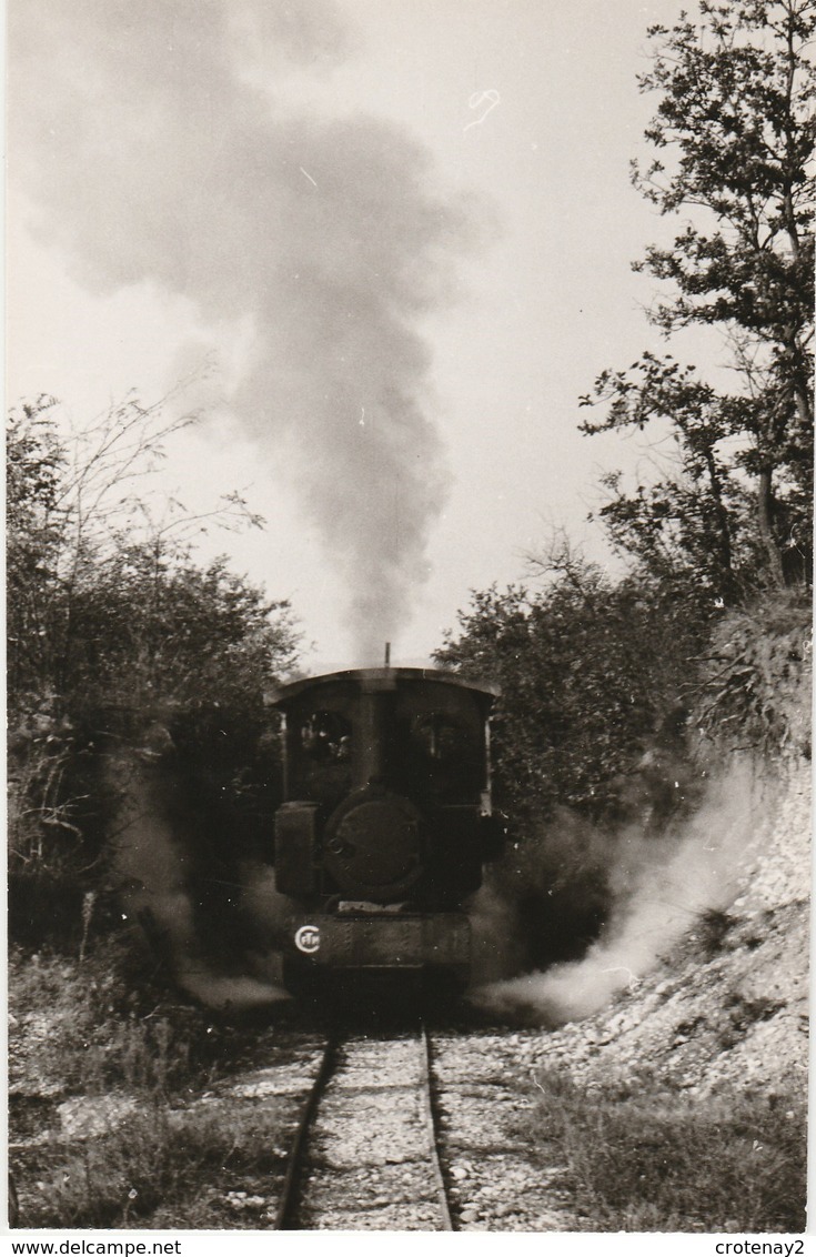 69 MEYZIEU VOIR DOS Chemin De Fer Touristique Train Locomotive à Vapeur Edition CFTM - Meyzieu