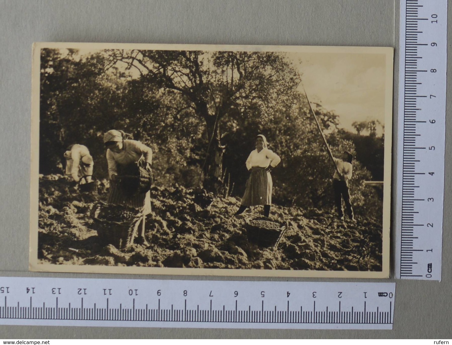 PORTUGAL - RANCHO DE AZEITONEIRAS -  SANTARÉM -   2 SCANS    - (Nº30108) - Santarem