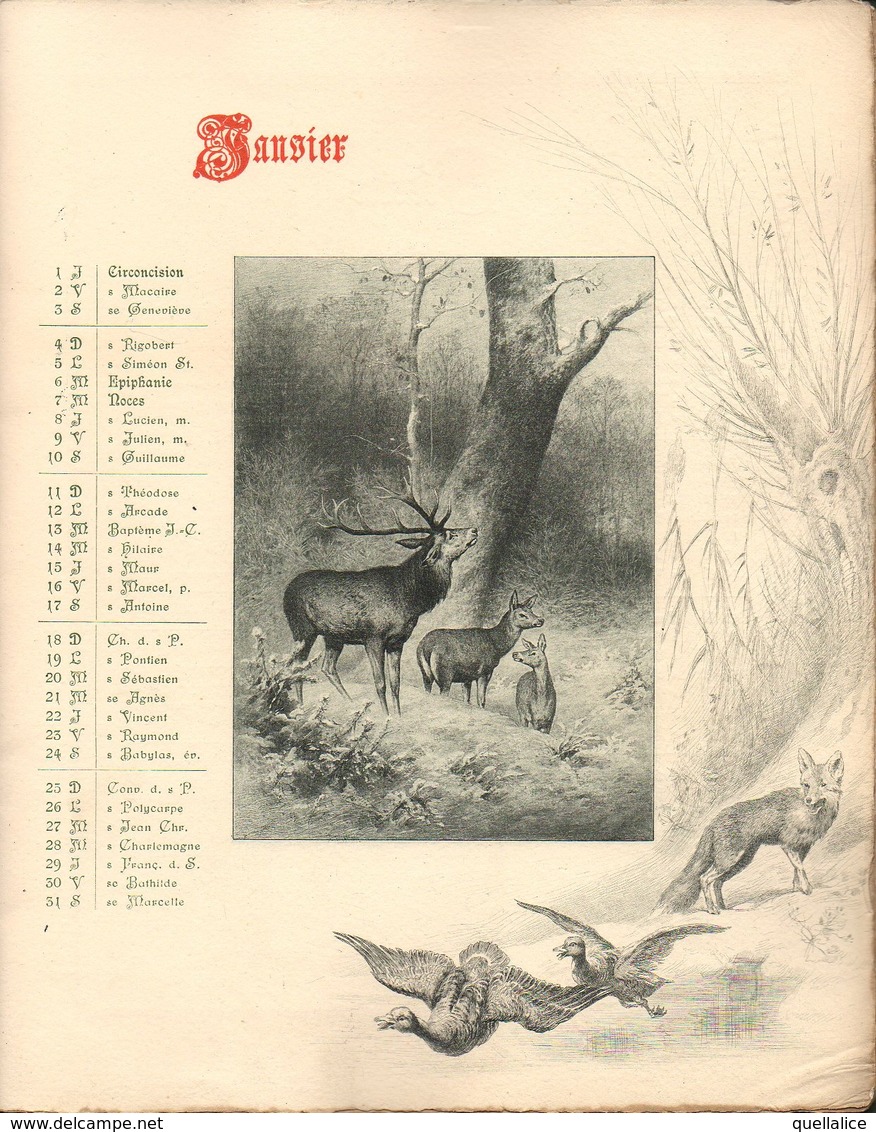 01232 "CALENDARIO ST. RUBERT 1903"  ANIMATO ANIMALI - Groot Formaat: 1901-20