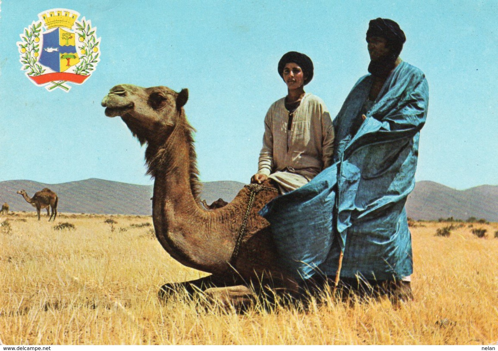 GOULIMINE-ARMOIRIES DE LA PROVINCIE D AGADIR-VIAGGIATA 1970  FG - Agadir