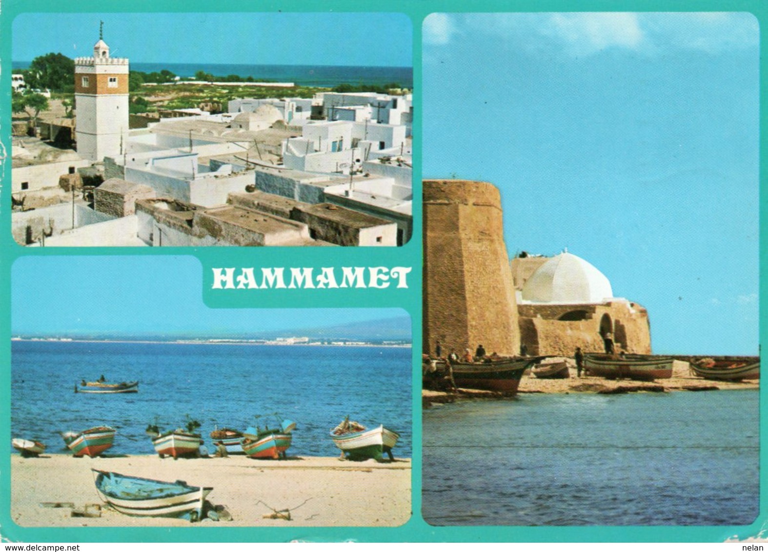 TUNISIA-HAMMAMET- VIAGGIATA 1981   FG - Tunisia