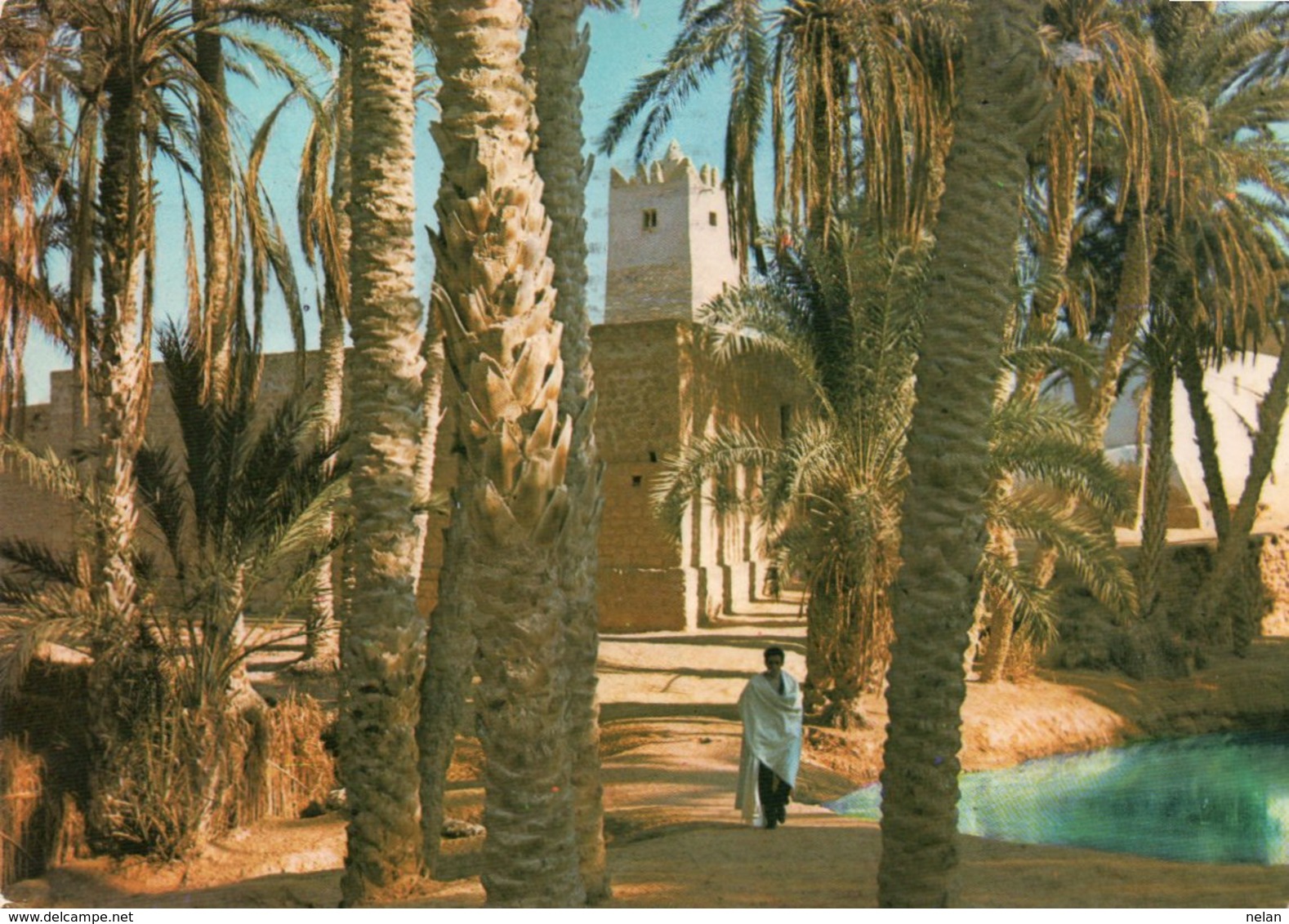 OASIS DU SUD TUNISIEN- VIAGGIATA    FG - Tunisia