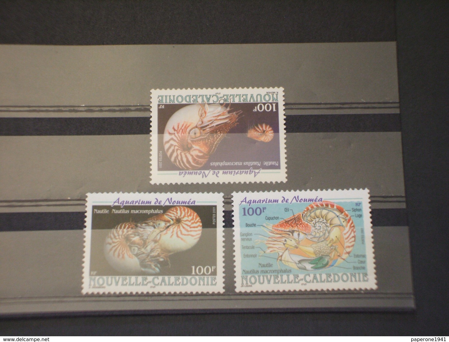 NOUVELLE CALEDONIE - 2001 CONCHIGLIE NAUTILE 3 VALORI - NUOVI(++) - Nuovi