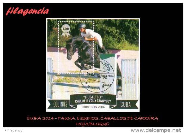 USADOS. CUBA. 2014-37 FAUNA. EQUINOS. CABALLOS DE CARRERA. HOJA BLOQUE - Oblitérés