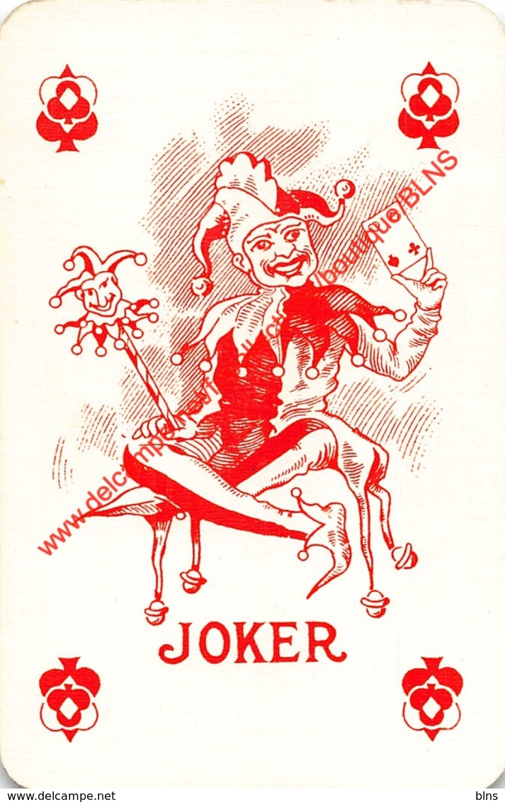 Playing Cards (Classic) - 1 Joker Kaart/Carte/Card