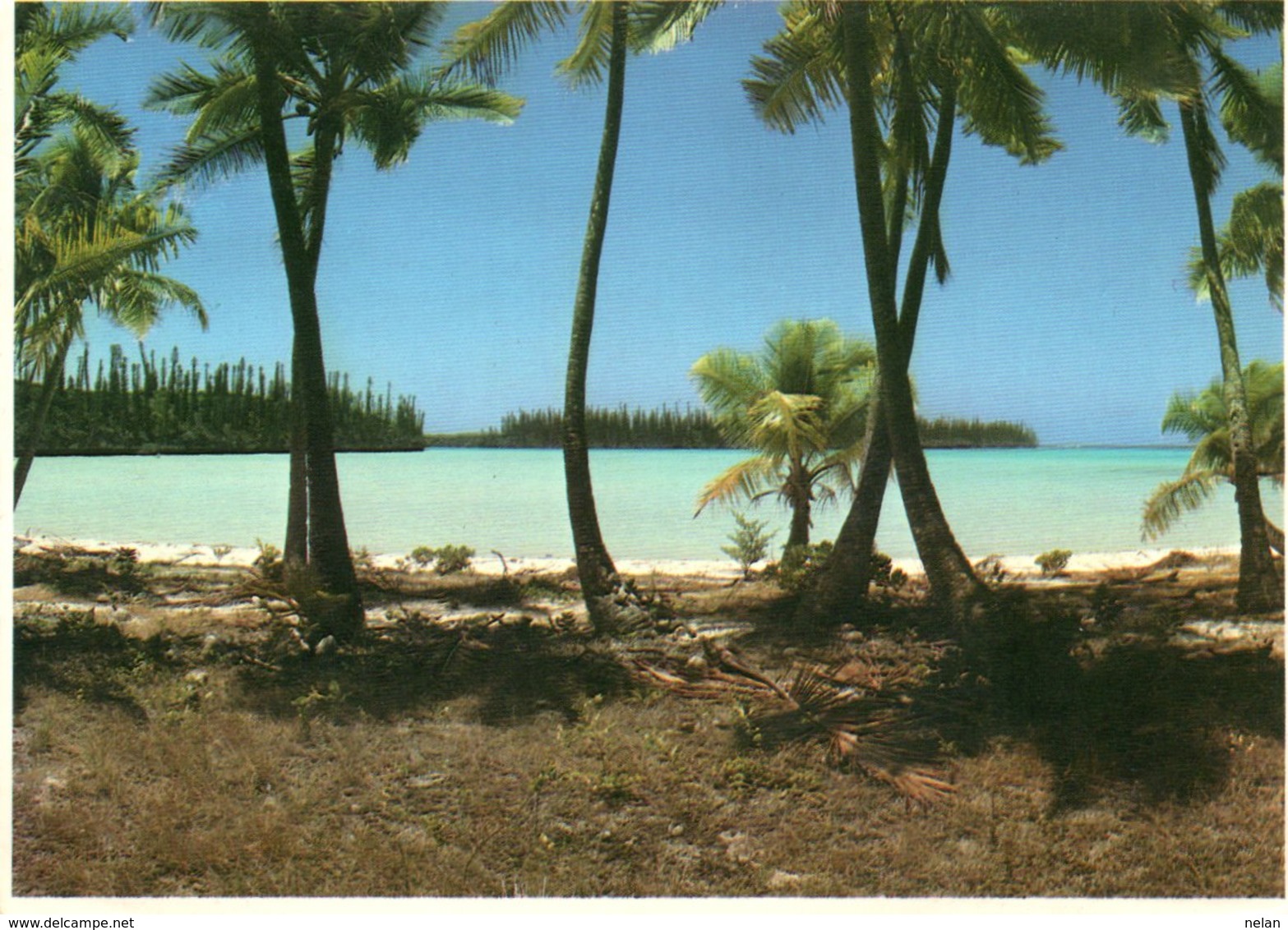 BEACH OF NEW CALEDONIE- VIAGGIATA     FG - Nuova Caledonia