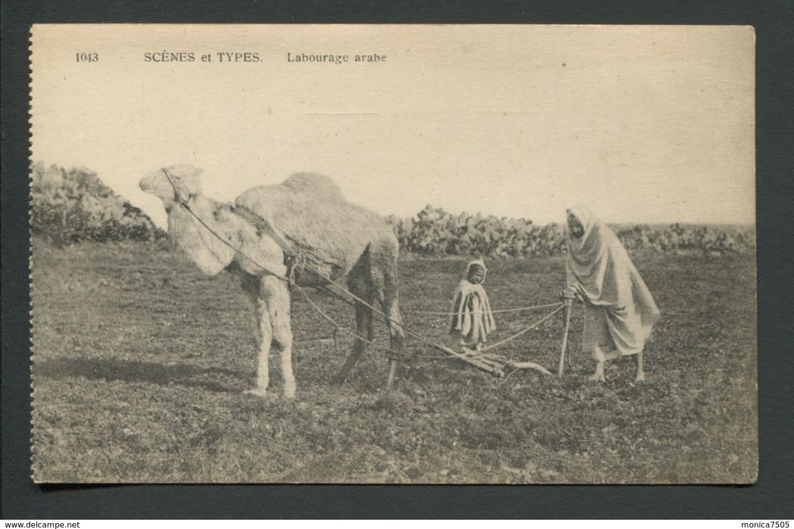 CPA  SCENES  ET TYPES  -  LABOURAGE ARABE - Scenes