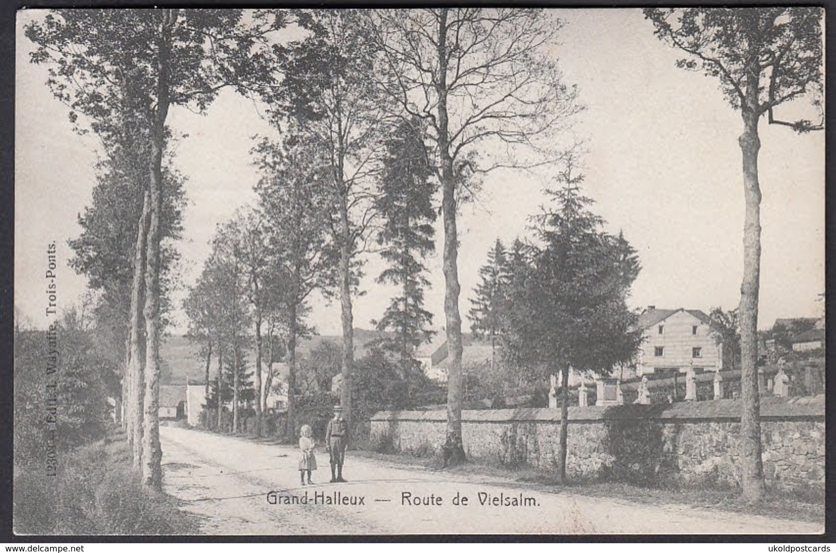 CPA -  Belgique, GRAND HALLEUX, Route De Vielsalm - Vielsalm