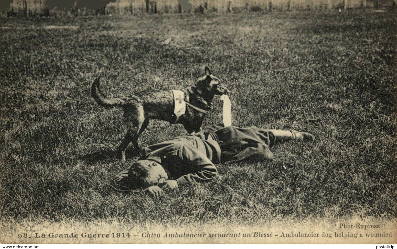 CHIEN AMBULANCIER SECOURANT UN BLESSÉ AMBULANCIER DOG HELPING A WOUNDED Roten Kreuz RED CROSS  CROIX ROUGE - Cruz Roja