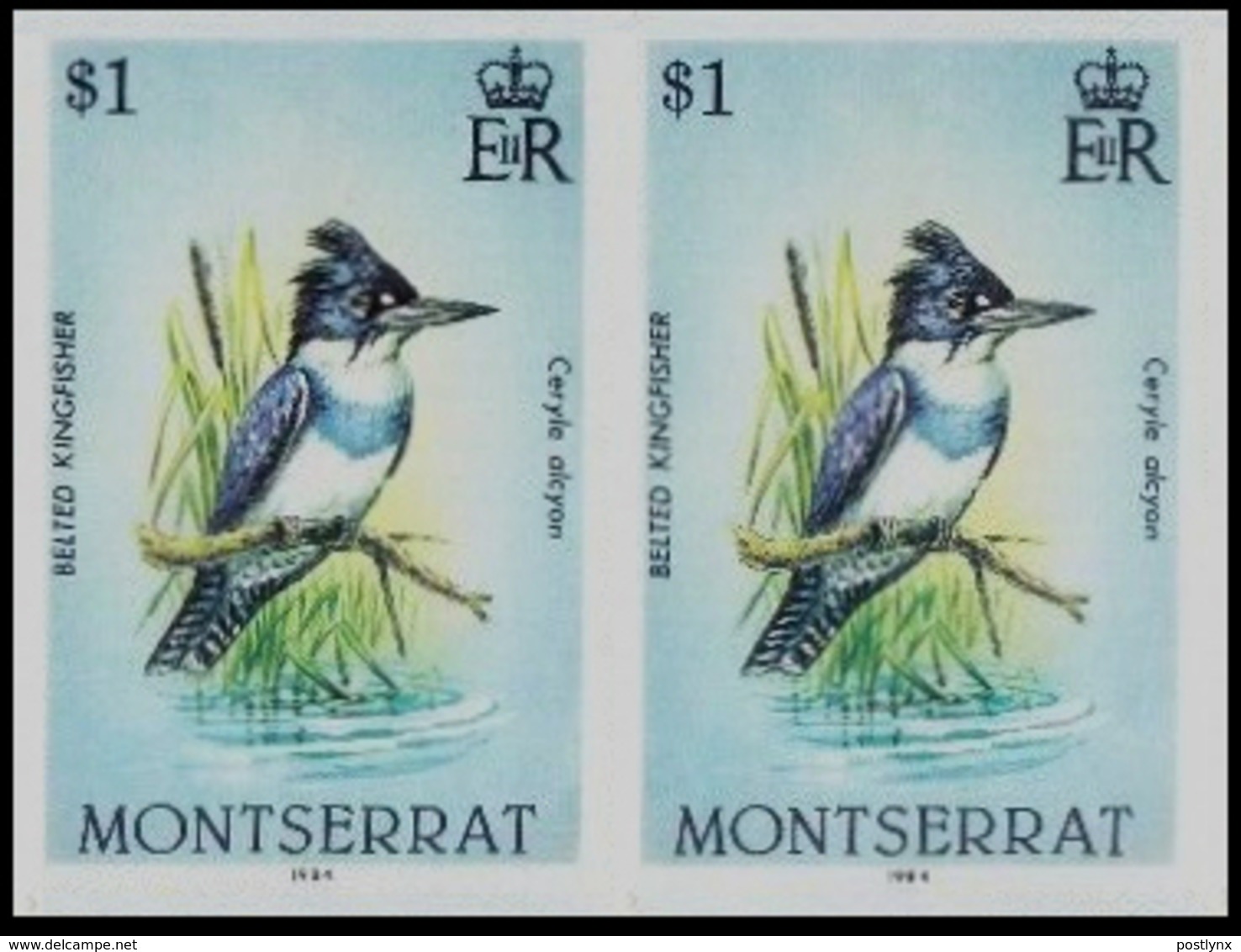 MONTSERRAT 1984 Bird $1 WMK P.O.IMPERF.PAIR - Montserrat