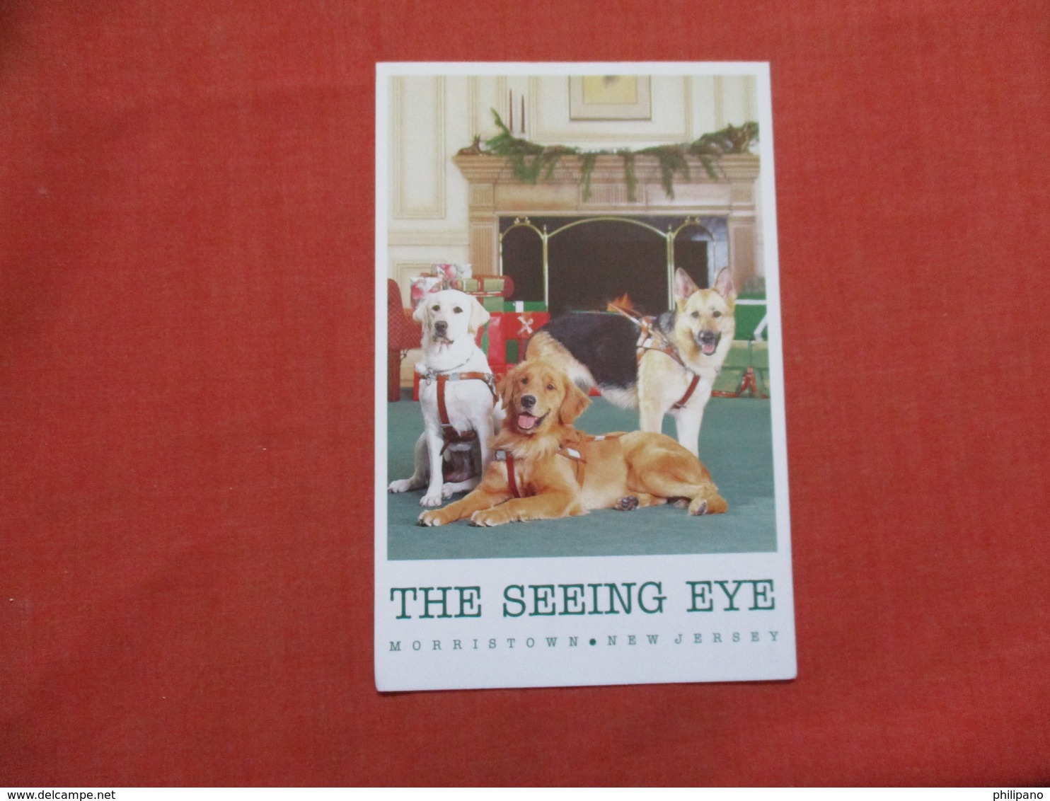 The Seeing Eye Dog  Morristown NJ Ref 3527 - Labor Unions