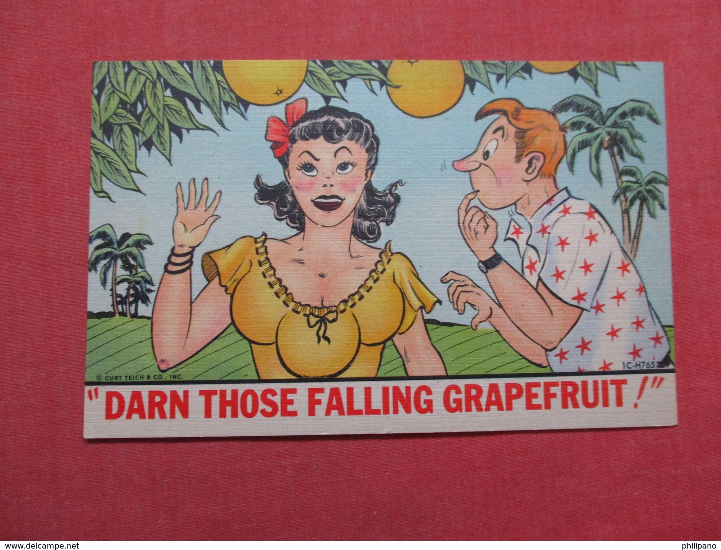 Risque Humor Darn Those Falling Grapefruit           Ref 3529 - Humour