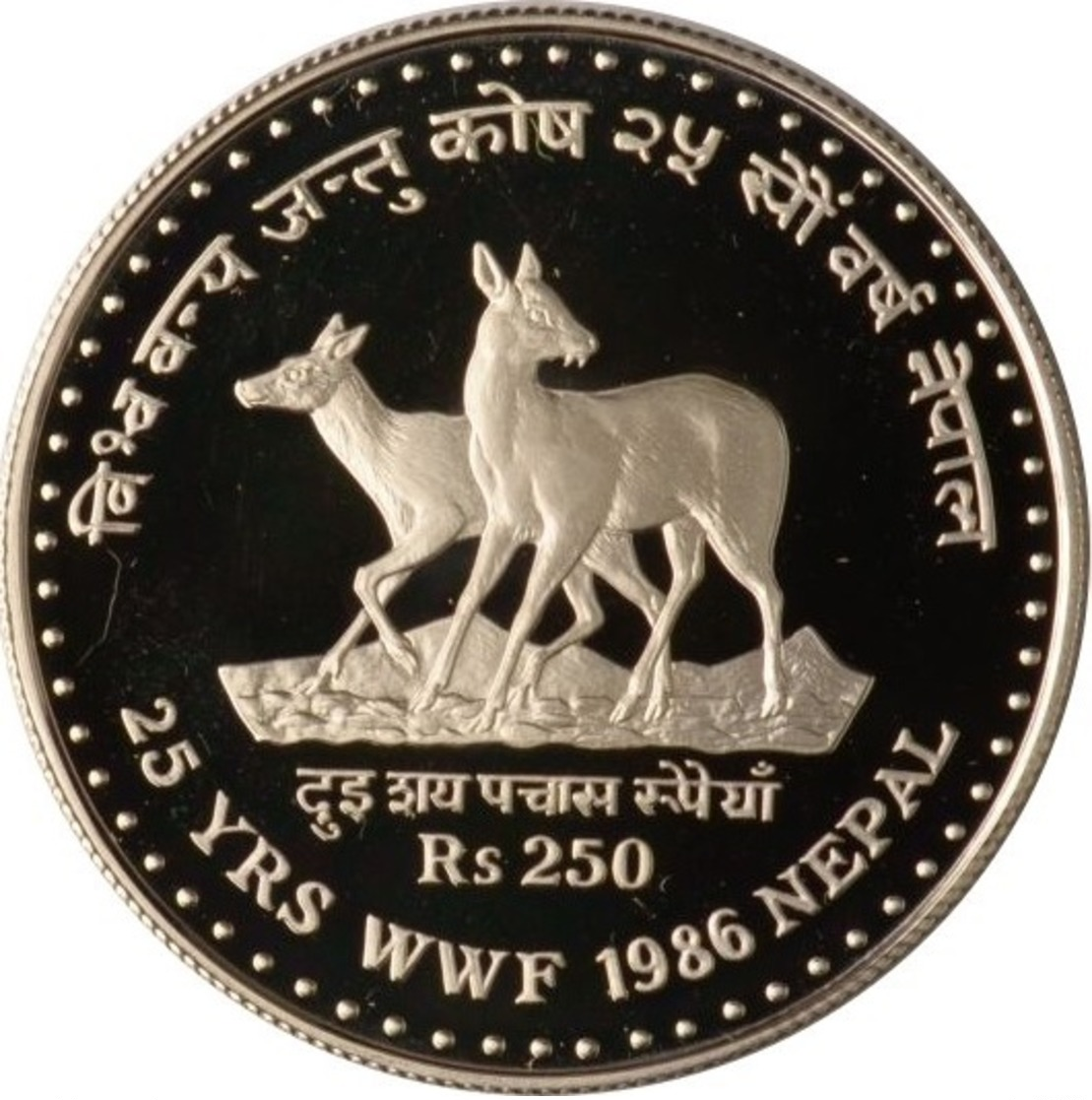 Népal, 250 Rupees 1986 - Silver Proof - Népal